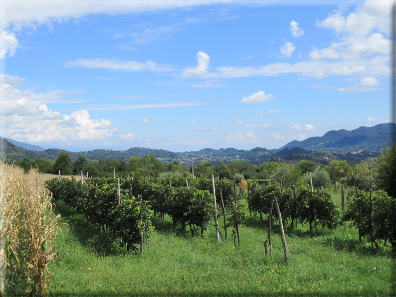 foto Paesaggi alle Pendici del Monte Grappa